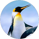 Andrew S profile picture